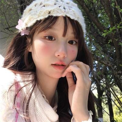 积木之箱